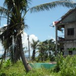 Joselyn and their daughter later were carried by the water to this coconut Tree